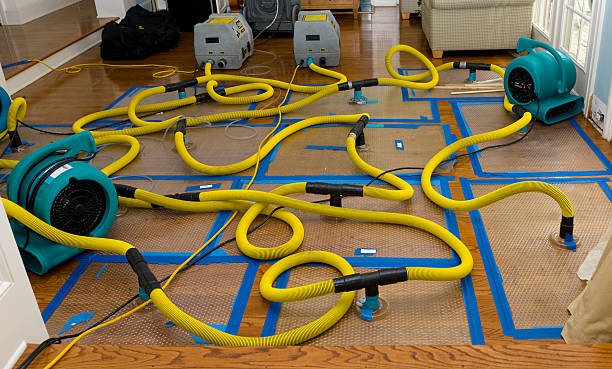 Professional Storm Water Damage Restoration technician working in Hamilton, MI
