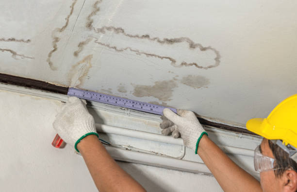 Affordable Water Damage Repair solutions in Hamilton, MI